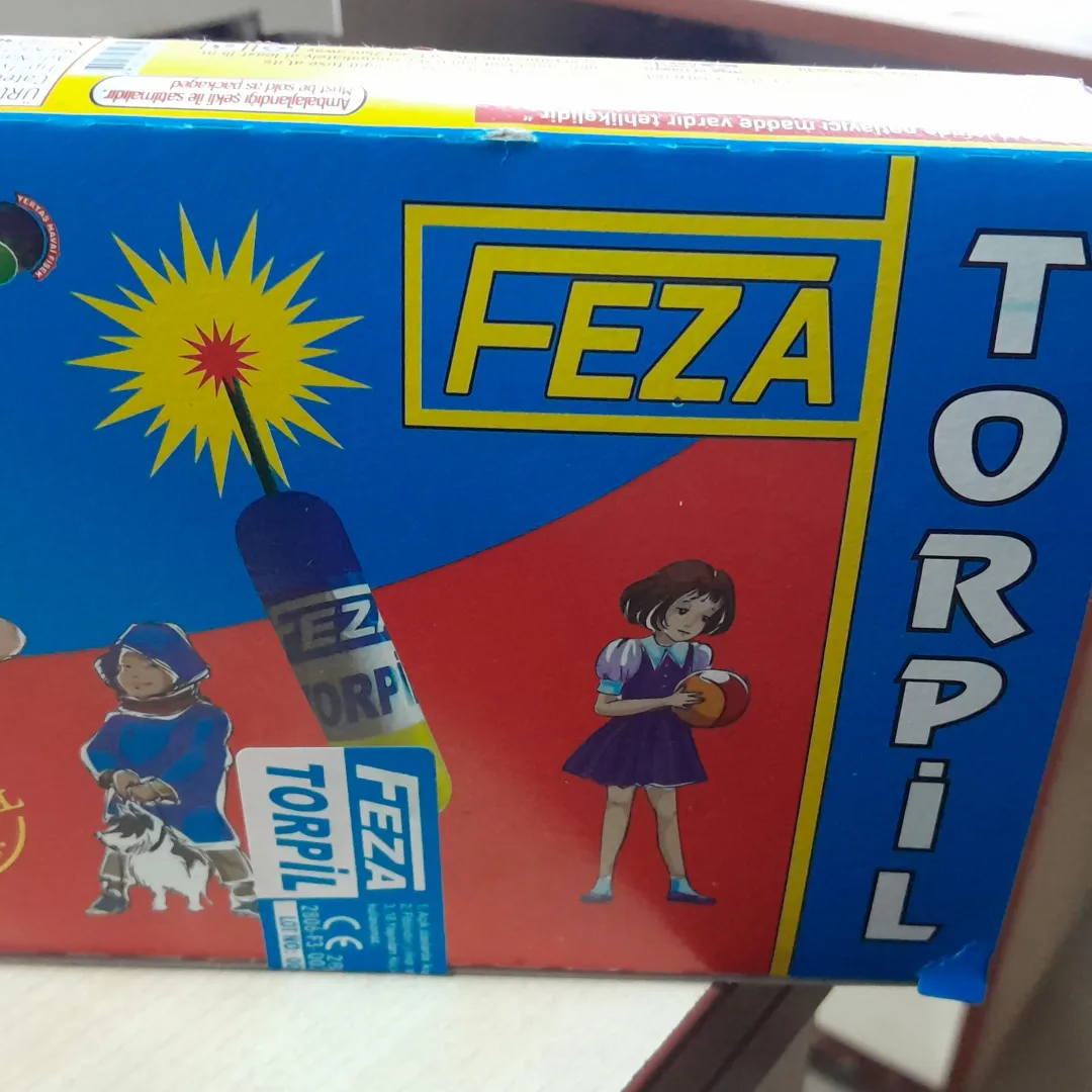 meşale alayı